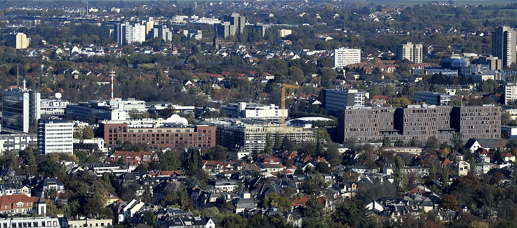 _mg_513345dfq.jpg